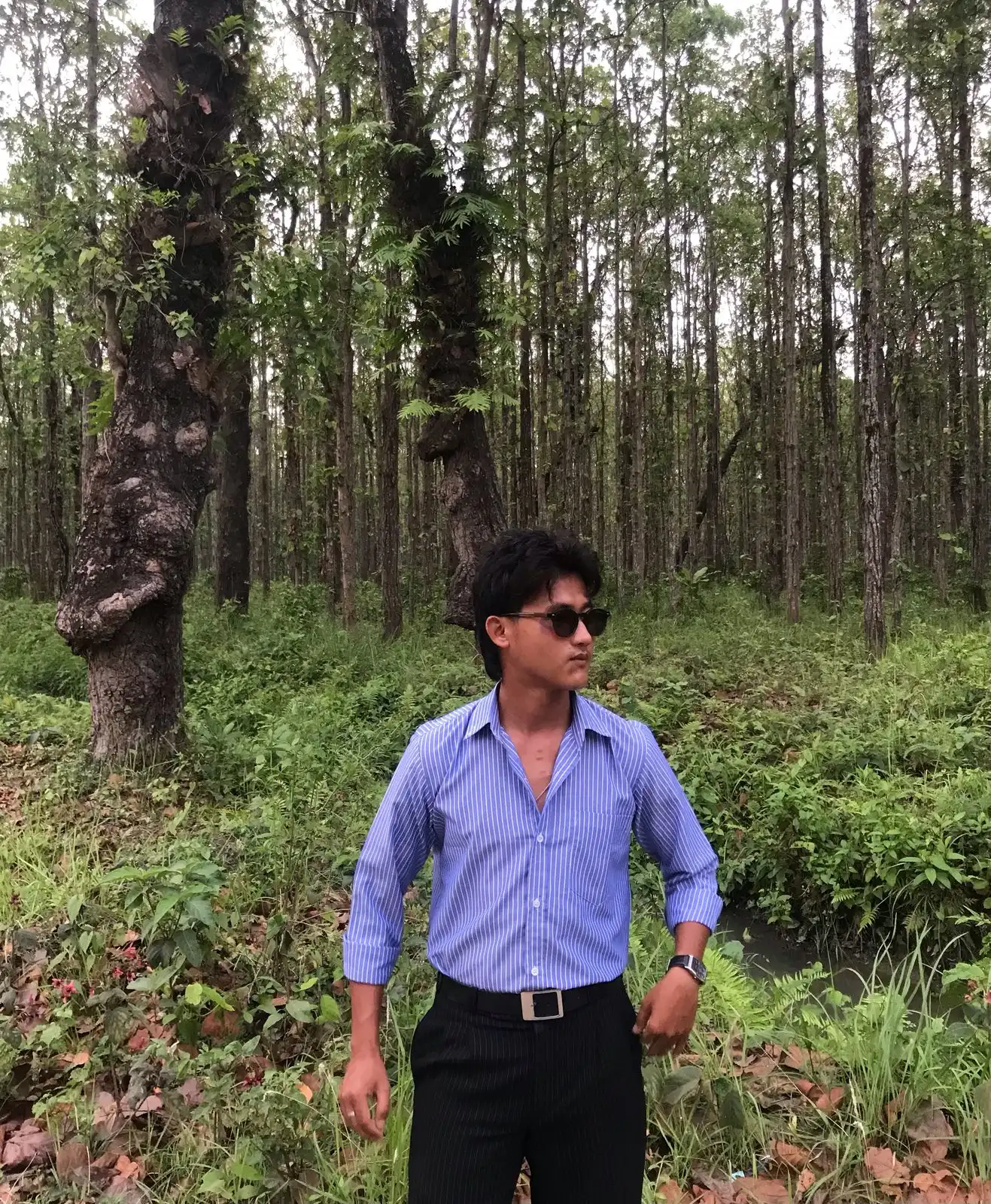 Product image of Shirt