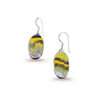 Bumblebee Jasper Dangle Earring...
