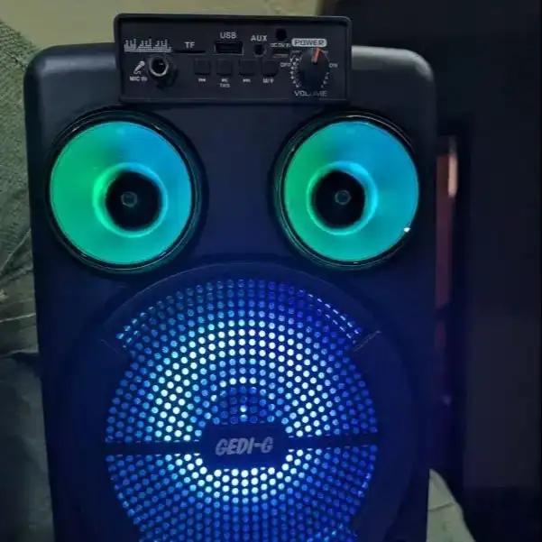 Product image of GEDI-G GD-892 8 Inch Professional Outdoor Speaker System.