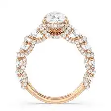 Elegant proposal ring