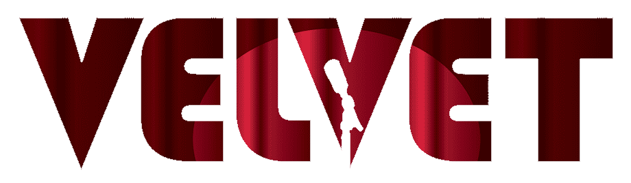 Logo Of fancystore.npp