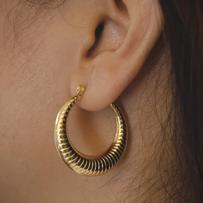 Image of Penelope Hoops